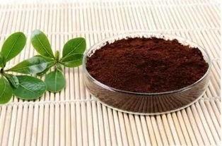 灵芝孢子粉视频,神奇功效揭秘与养生之道
