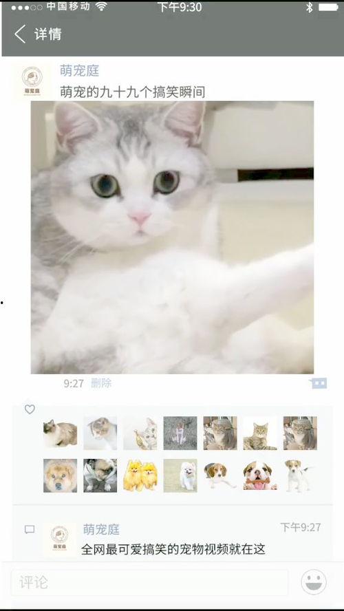 傻子视频大搞笑视频,傻子视频大搞笑集锦