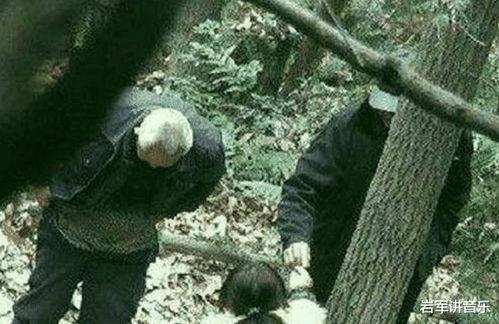 老人在树林里的腥视频,真相令人震惊