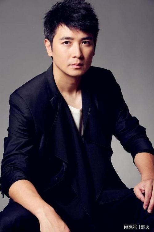 保剑锋视频,揭秘明星幕后故事与成长历程