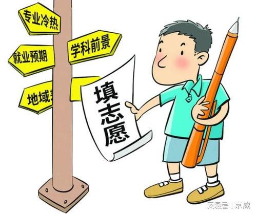 高考志愿填报指南视频,视频解析与策略全解析