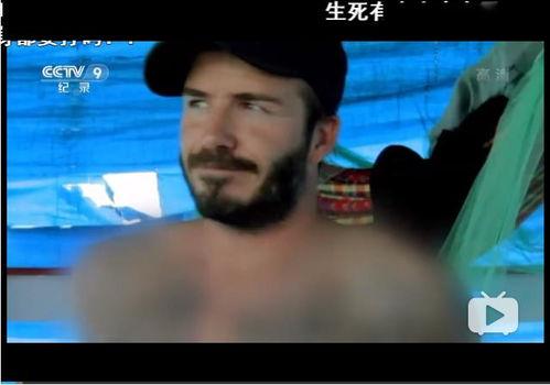 有码高清视频,一场视觉盛宴的深度解析