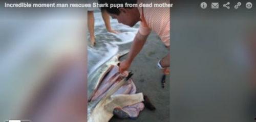 男生被打腹部视频