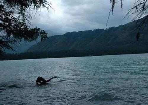 喀纳斯湖水怪最新视频,最新视频揭秘惊悚瞬间