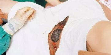 自然生产全过程视频